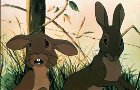 Watership Down [14 Disc Box Set] DVD &pound;17.85 @ Zavvi