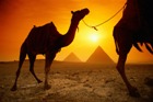 Egypt, Kahramana, Naama Bay 3* - 7 nights £281.97 pp @ Thomas Cook Egypt, Kahramana, Naama Bay 3* - 7 nights £281.97 pp @ Thomas Cook