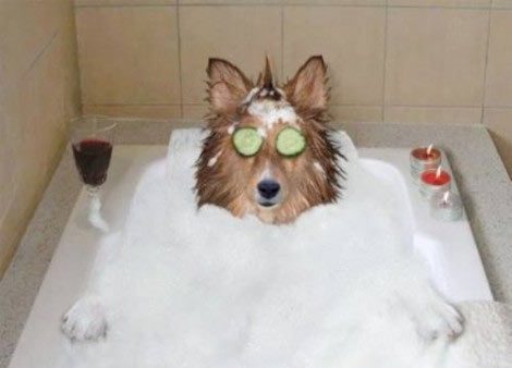 Parent Pampering For Pennies