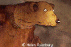 We&rsquo;re Going On A Bear Hunt &pound;2.40 @ Amazon