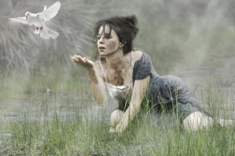 Review: A Dove In The Hand Is Worth... Review: A Dove In The Hand Is Worth...