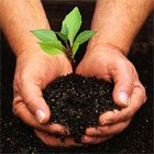 Saving Money In The Home (Guest Article) Saving Money In The Home (Guest Article)