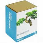 Grow Your Own Bonsai Tree &pound;4.92 @ Amazon