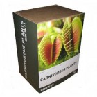 Grow Your Own Bonsai Tree &pound;4.92 @ Amazon