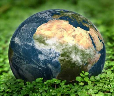 Review: Products That Hug The World