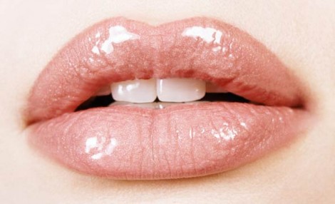 FREEBIE: 'Lippy Cow' Lip Balm @ HalfPricePerfumes