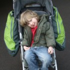 Hamster Buggy Bag Review