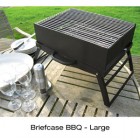 Want One Of Those Camping Reviews, Please...