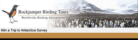 Free Competitions: Win A Trip Of A Lifetime To Antarctica!