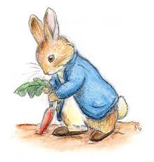 Peter Rabbit Book Collection £25.00 @ booksdirectbargains Peter Rabbit Book Collection £25.00 @ booksdirectbargains