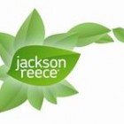 Jackson Reece Wipes Review Jackson Reece Wipes Review