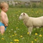 8 Things Your Newborn Does Not Need