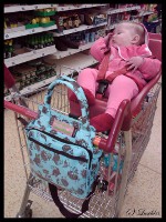 ZPM Trolley-Dolly Review ZPM Trolley-Dolly Review