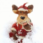 Christmas Money Saving Tips