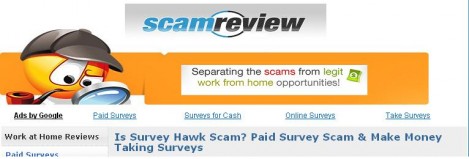 Can you get paid to do surveys?