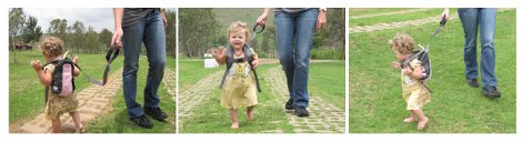 LittleLife Toddler Day Pack Review