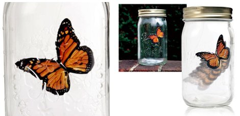 Butterfly In A Jar &pound;10.44 @ IWOOT