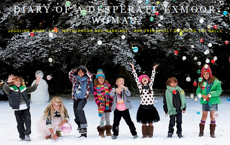 PlayPennies Loves...Diary Of A Desparate Exmoor Woman