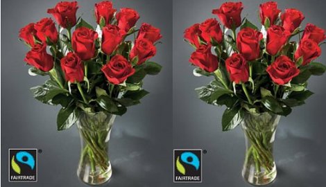 Dozen Red Roses £19.99 @ Marks and Spencer Dozen Red Roses £19.99 @ Marks and Spencer