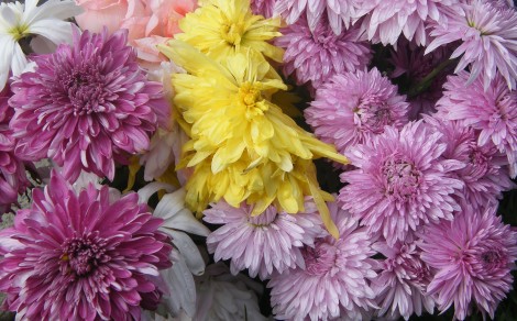 Mother&rsquo;s Day Makes And Marvels