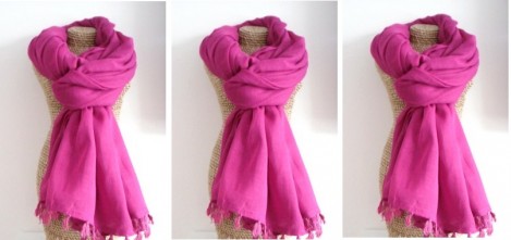 Hampton Blue Fuchsia Scarf And Purple Sari Journal Review