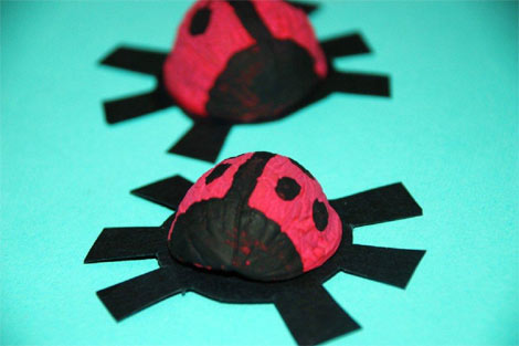 Workshop Wednesday: Walnut Ladybirds