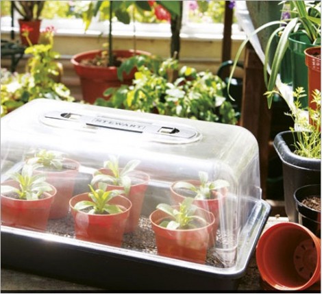 The Stewart Company Kitchen Garden And Herb Pot Review The Stewart Company Kitchen Garden And Herb Pot Review