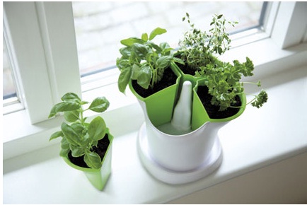 The Stewart Company Kitchen Garden And Herb Pot Review The Stewart Company Kitchen Garden And Herb Pot Review