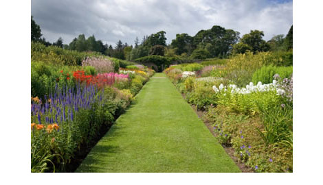 Free Competitions: Win A Garden Makeover