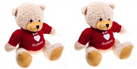 My 1st Years Mother&rsquo;s Day Bear Review