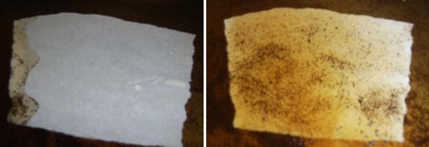 Workshop Wednesdays: Make A Treasure Map