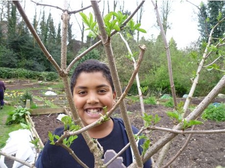 Save Money With Your Garden