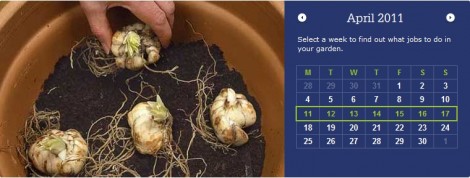 Save Money With Your Garden