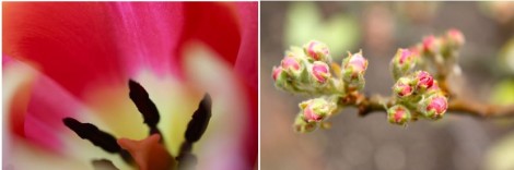 Save Money With Your Garden