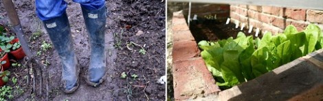 Save Money With Your Garden