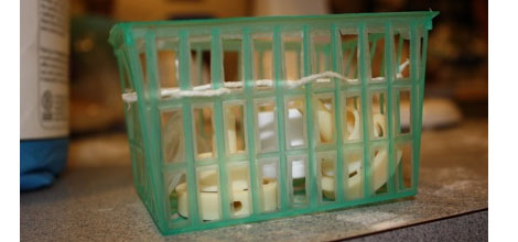 Baby Bits And Pieces Dishwasher Solution Baby Bits And Pieces Dishwasher Solution