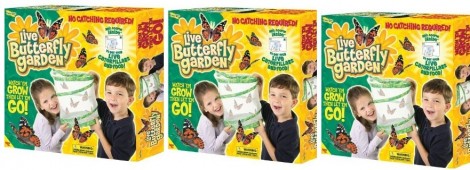 Insect Lore Butterfly Garden &pound;11.94 @ Amazon