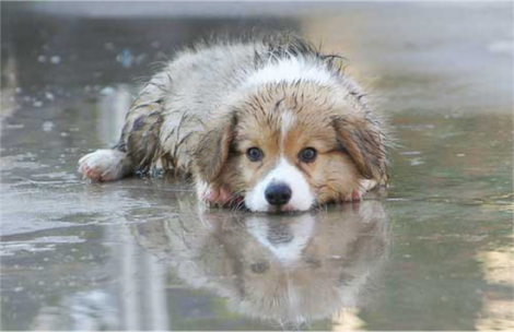Five Crazy Free Things To Do On A Rainy Day Five Crazy Free Things To Do On A Rainy Day