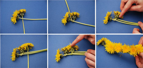 Workshop Wednesday: Flower Crown