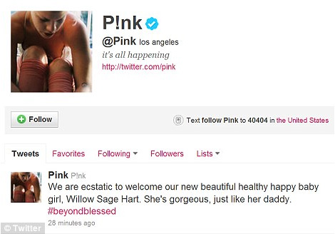 Celebaby: At LAST, Pink's Baby Girl Arrives!