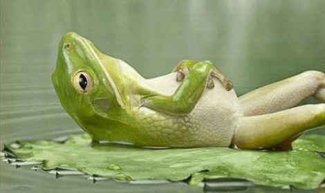 Laugh, Relax, Destroy The Stress Laugh, Relax, Destroy The Stress