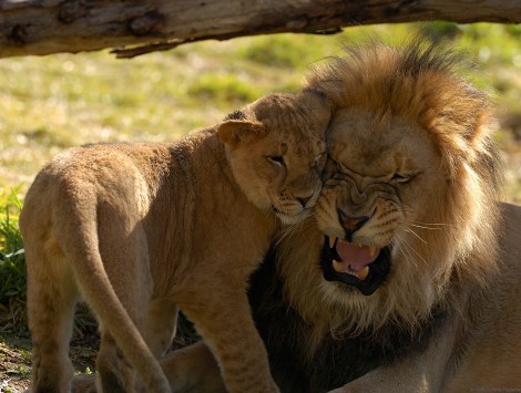 Why Frugal Parents Are Brilliant Why Frugal Parents Are Brilliant