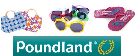 Poundland Summer Accessories Review