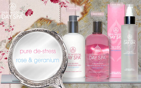 Skin Wisdom Day Spa Review