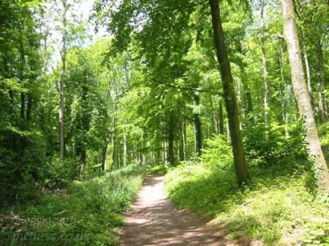 Free Summer Activities