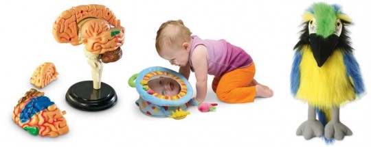 Just Childs Play Promotional Code: 15% Off Just Childs Play Promotional Code: 15% Off