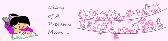 PlayPennies Loves...Diary Of A Premmy Mummy