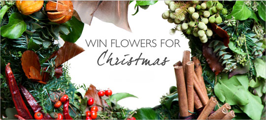 Free Competitions: Win £700 Of Christmas Flowers (Along With Cash, Lingerie And FisherPrice Toys) Free Competitions: Win £700 Of Christmas Flowers (Along With Cash, Lingerie And FisherPrice Toys)