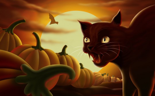 How To Carve A Pumpkin