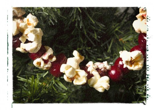 The Flavour Of Christmas &ndash; Simple, Edible Ideas
